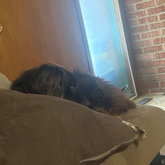 Athleta Brown High Waisted 7/8 Length Leggings Size Medium - Picture 6 of 6